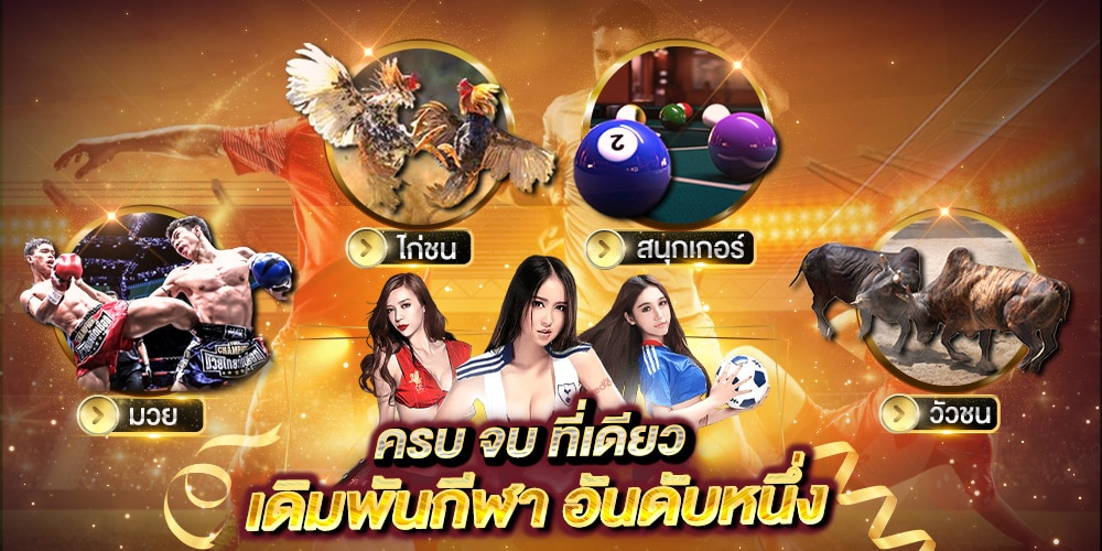 เว็บเดิมพันกีฬา