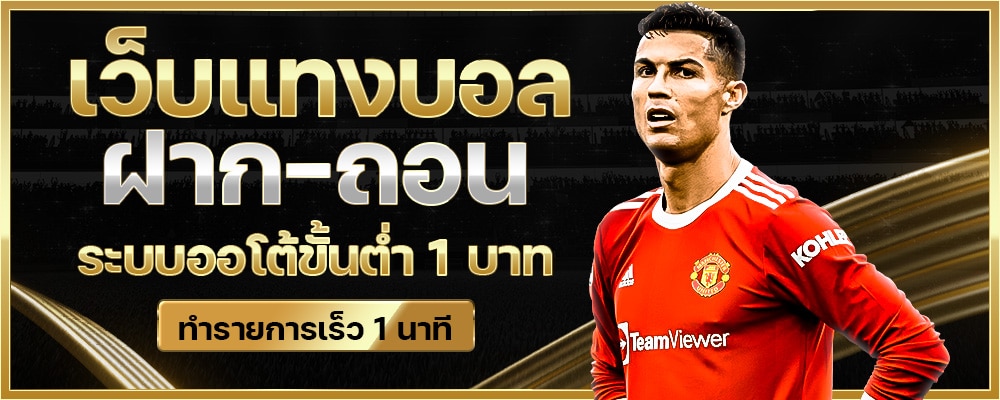 เว็บแทงบอล