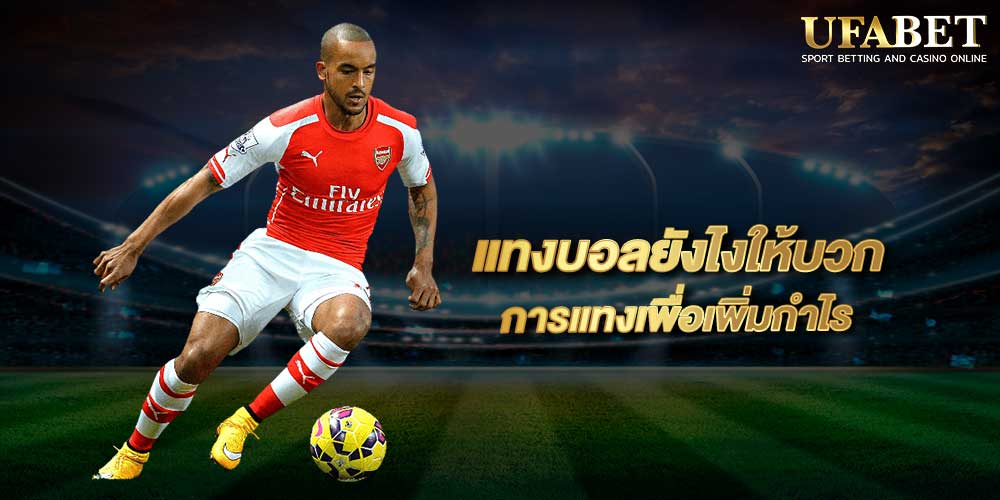แทงบอลยังไงให้บวก